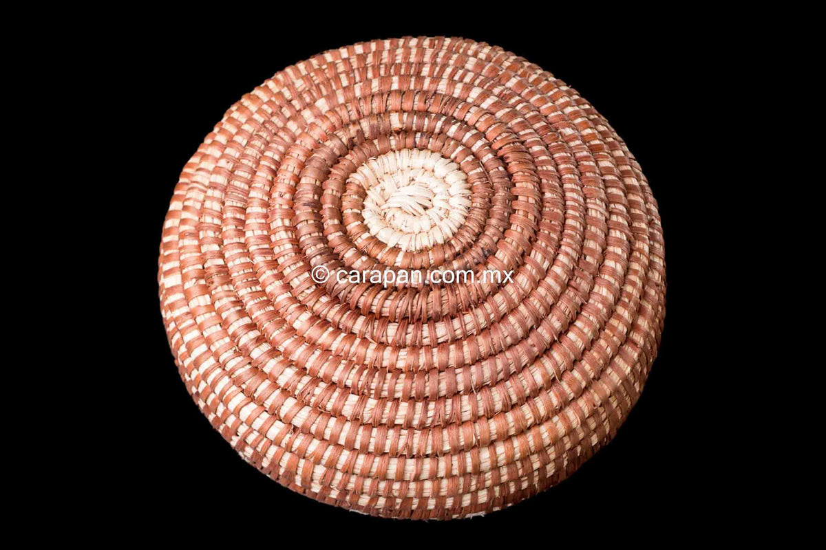 Mexican Basket by Seri indigenous people brown with beige donkeys
