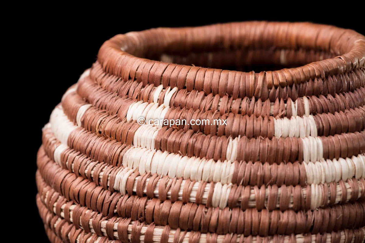 Mexican Basket by Seri indigenous people brown with beige donkeys