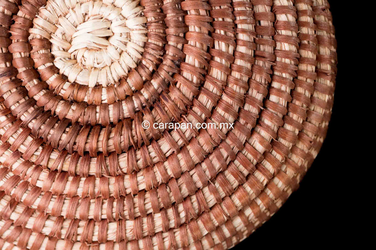 Mexican Basket by Seri indigenous people brown with beige donkeys