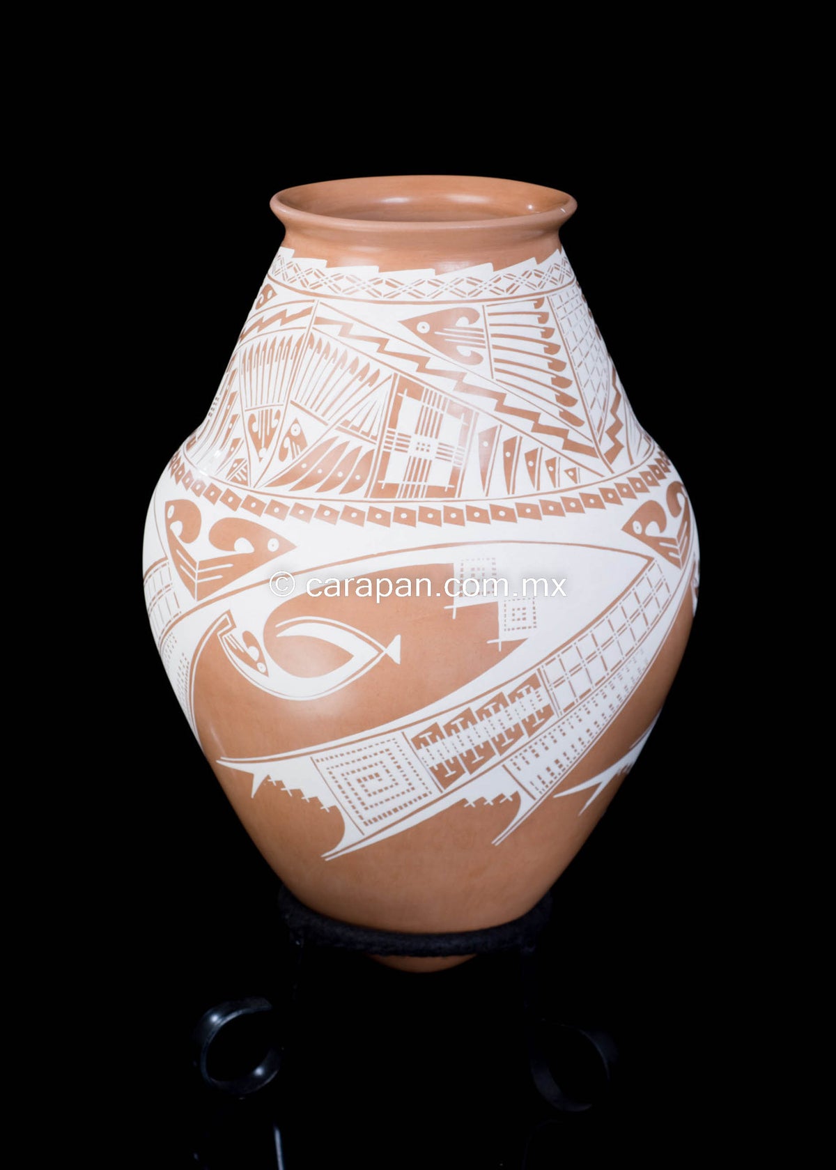 Clay pot Mata Ortiz Pottery from Chihuahua Mexico