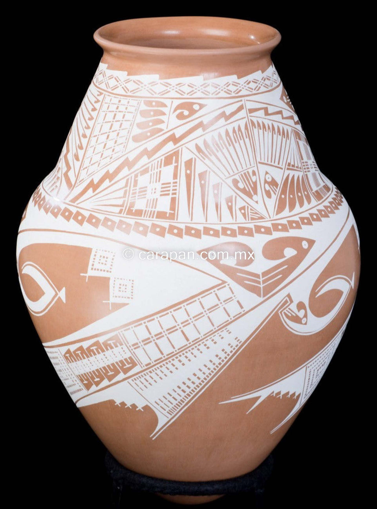 Clay pot Mata Ortiz Pottery from Chihuahua Mexico