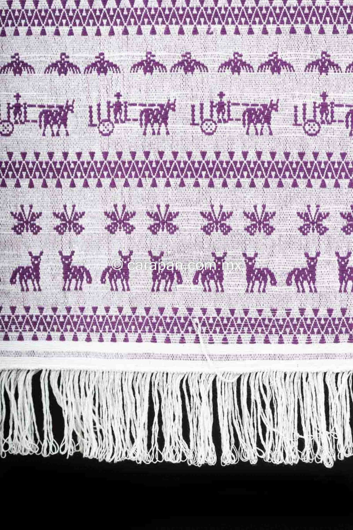 Purple Mexican Textile Runner From San Mateo del Mar with Traditional Oaxacan Patterns