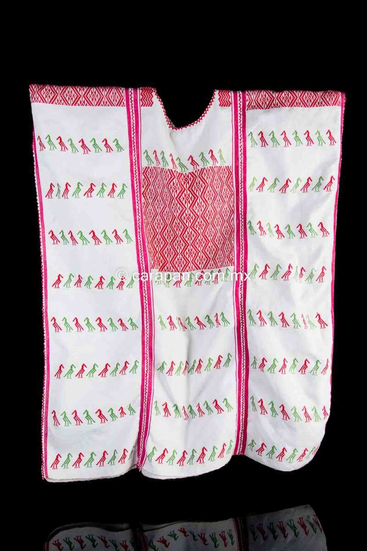 Mexican Indigenous Textile Huipil with Mexicos Flag Colors Green, Red and White