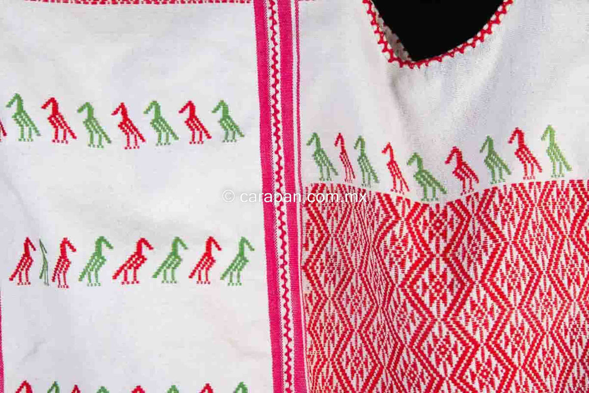 Mexican Indigenous Textile Huipil with Mexicos Flag Colors Green, Red and White