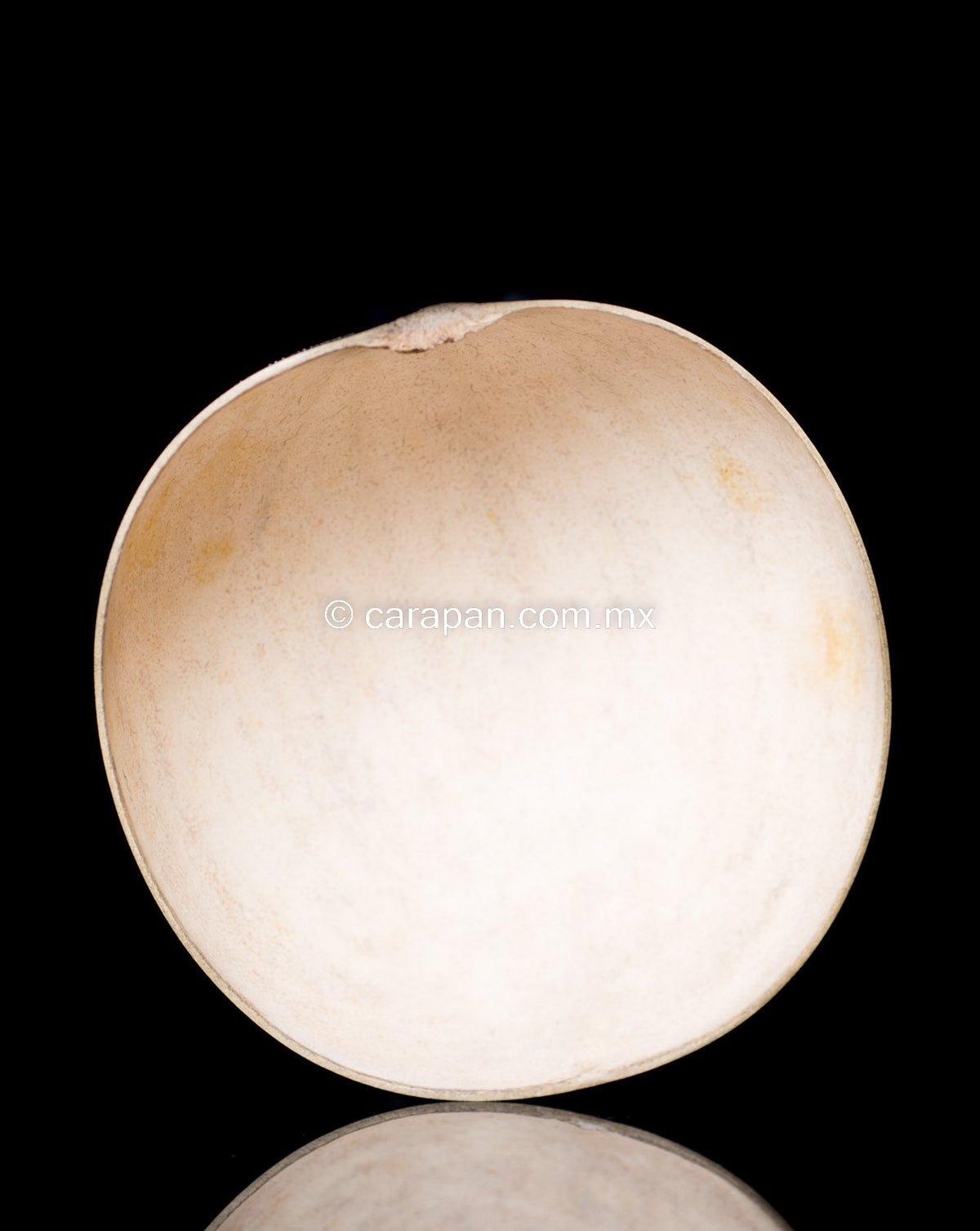 Etched gourd from Oaxaca Mexico