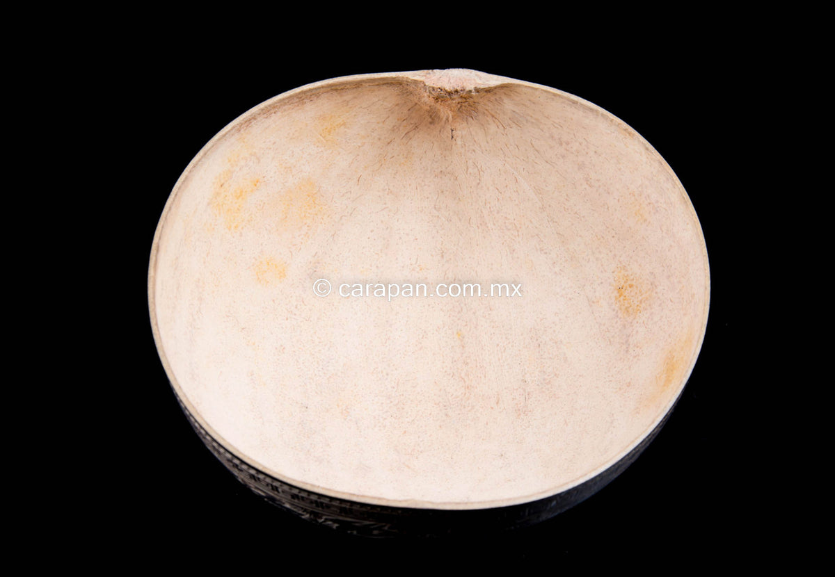 Etched gourd from Oaxaca Mexico