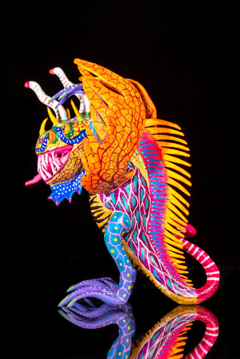 Left side of Mexican Paper Mache Alebrije