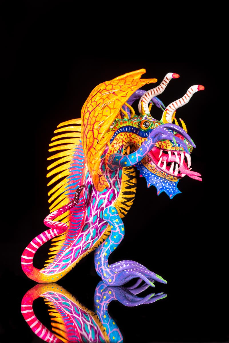 Right Side of Paper Mache Alebrije