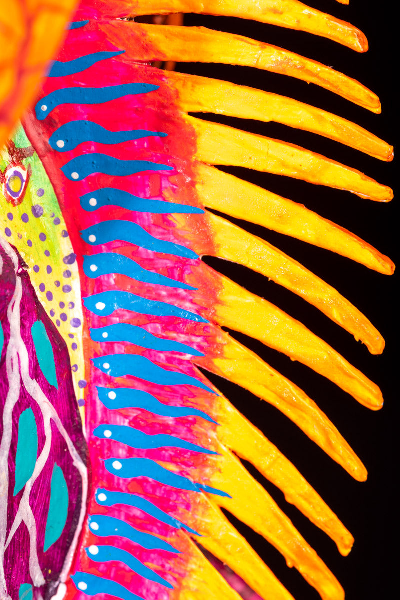 Spine of Paper Mache Alebrije