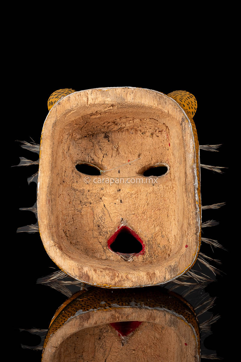 Vintage Jaguar Tecuani Mask decorated with black strokes over yellow and boar hair appliqués It has two fangs, one broken and shows use scratches 