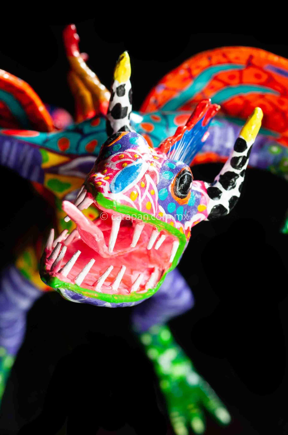 Mexican Paper Mache Alebrije Looking up face zoom