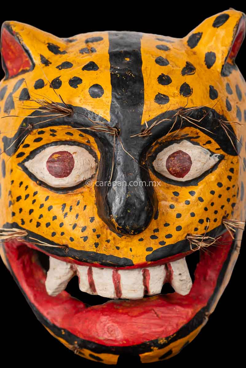 Mexican Jaguar Mask Tecuani Dance from Guerrero