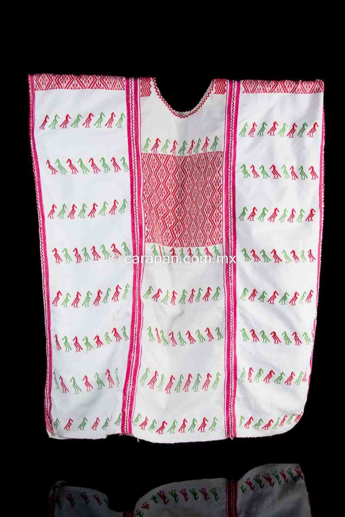 Mexican Indigenous Textile Huipil with Mexicos Flag Colors Green, Red and White