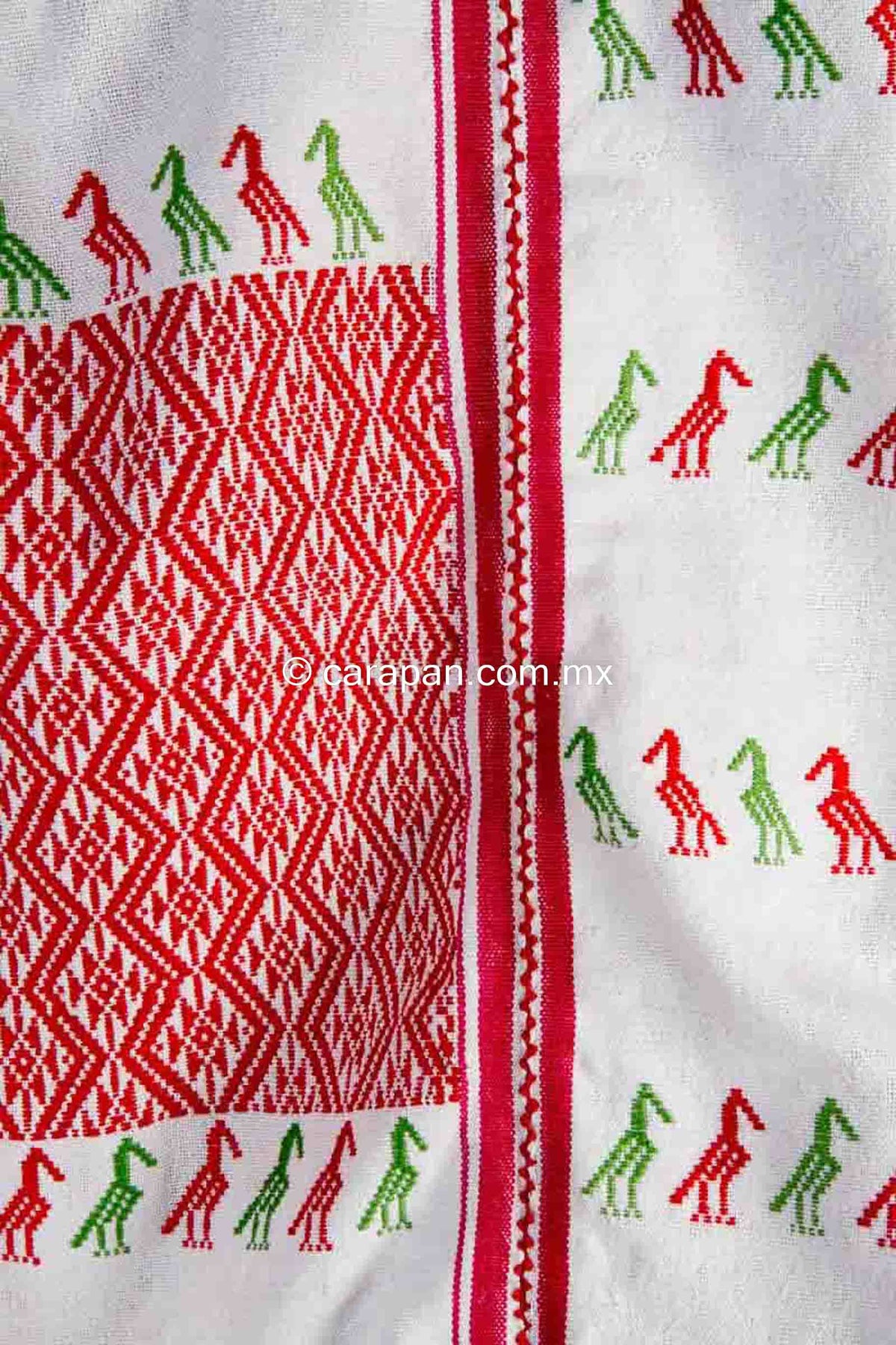 Mexican Indigenous Textile Huipil with Mexicos Flag Colors Green, Red and White