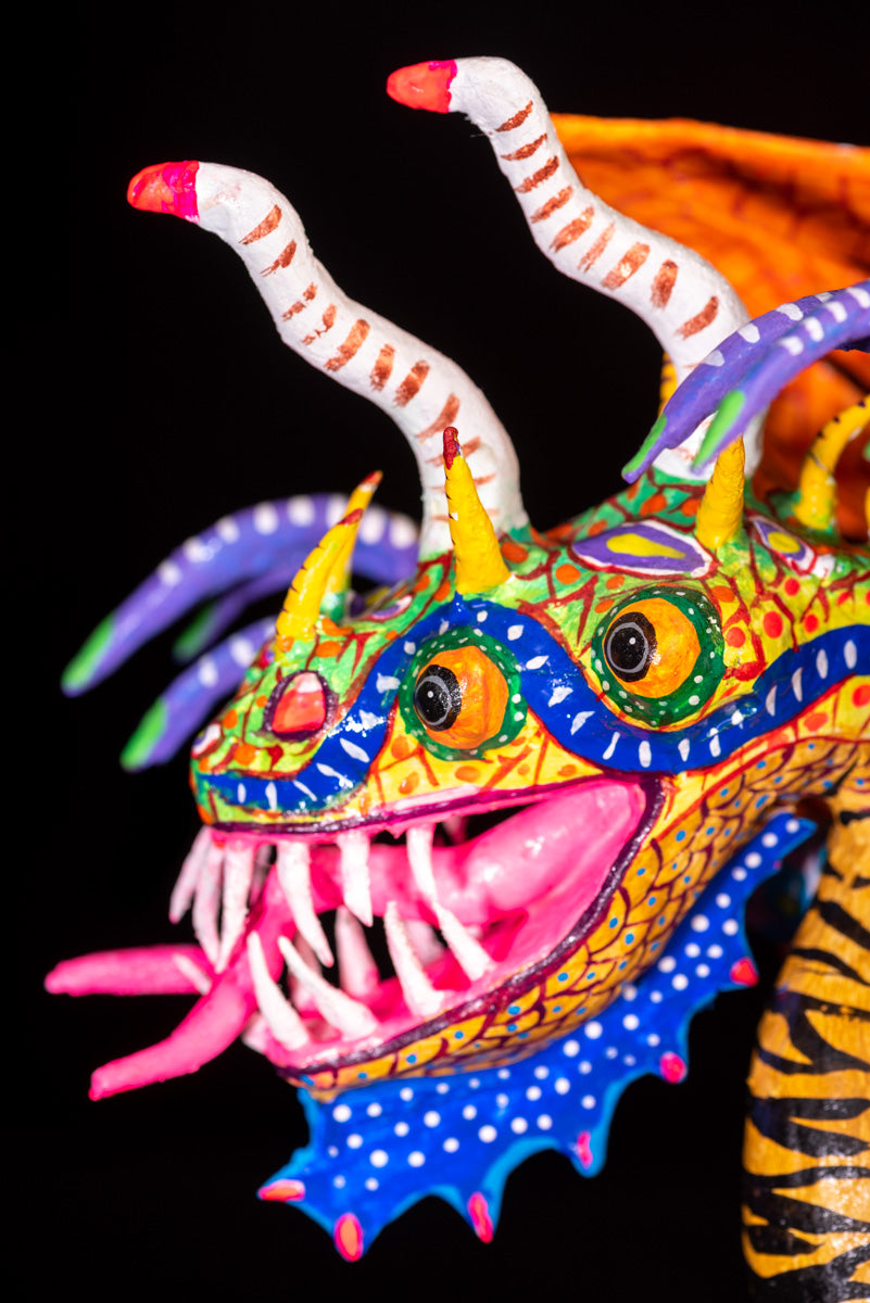 Face detail of four eyed Paper Mache Alebrije